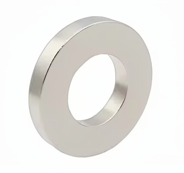 Ring Magnets 1 ring magnet